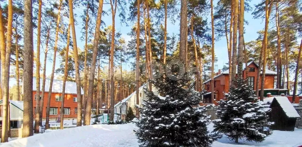 Коттедж в Новосибирская область, Новосибирский район, Кудряшовский дп ... - Фото 2