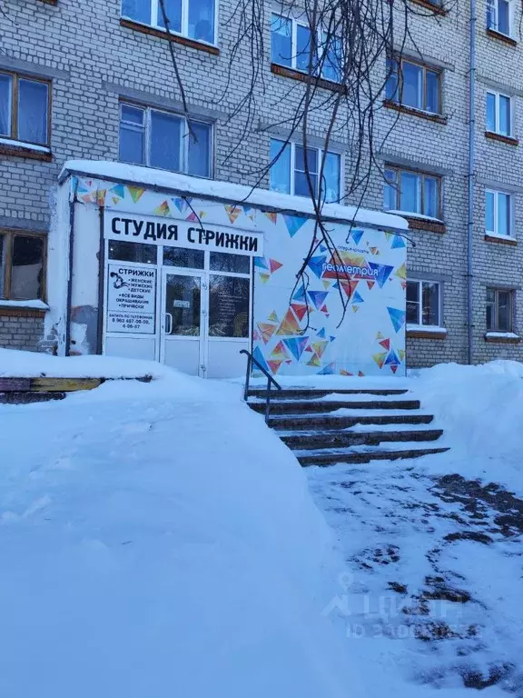 Помещение свободного назначения в Челябинская область, Снежинск ул. ... - Фото 2