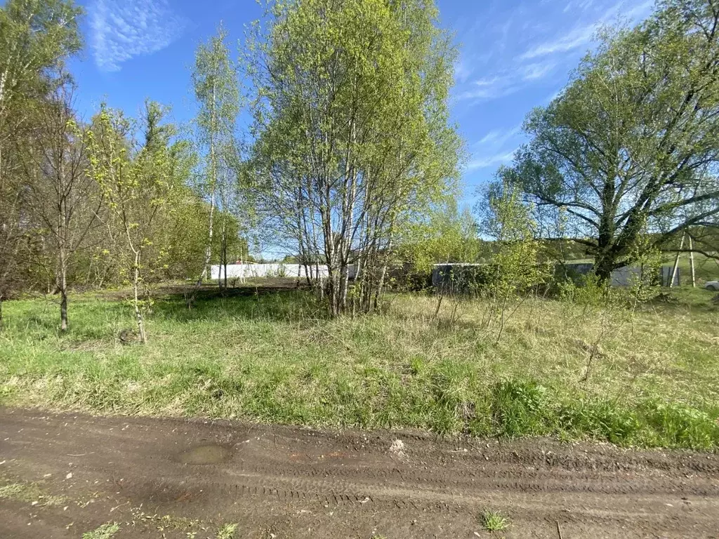 Участок в Московская область, Коломна городской округ, д. Конев-Бор ... - Фото 1
