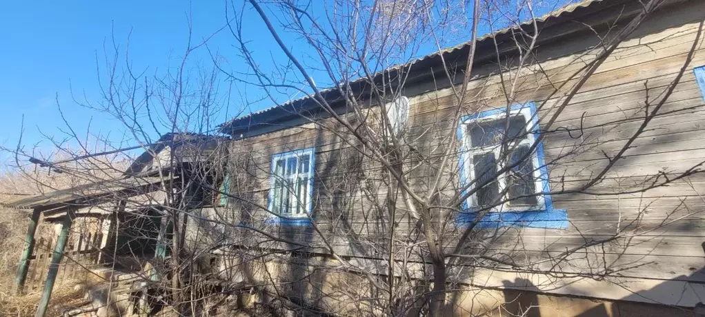Дом в Саратовская область, Пугачевский район, с. Давыдовка  (52 м) - Фото 2