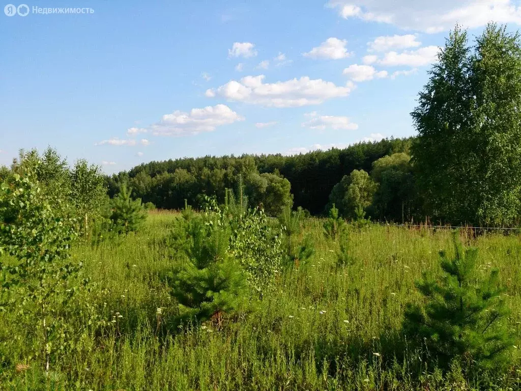Участок в Владимирская область, Александровский муниципальный округ, ... - Фото 1