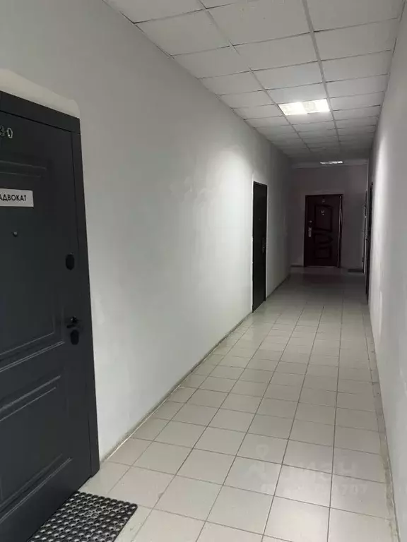 Помещение свободного назначения в Ставропольский край, Ставрополь № 28 ... - Фото 1