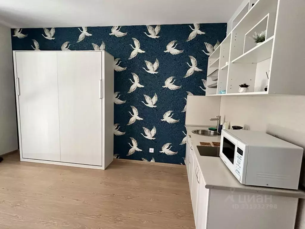 Студия Санкт-Петербург ул. Летчика Лихолетова, 14к3 (24.5 м) - Фото 2