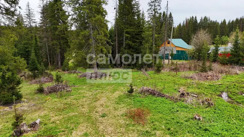 Участок в Челябинская область, Нязепетровск ул. Мира (15.0 сот.) - Фото 2