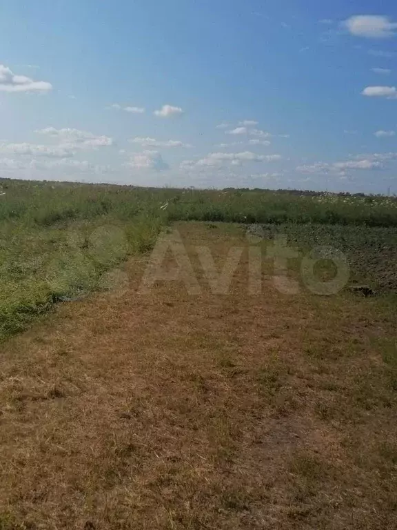 Участок 9,5 сот. (СНТ, ДНП) - Фото 1