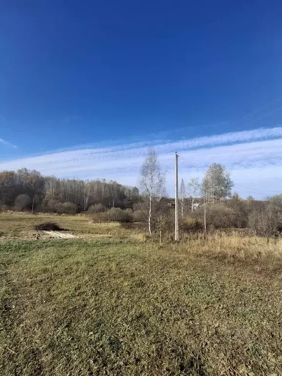 Дом в Нижегородская область, Богородский муниципальный округ, д. ... - Фото 1