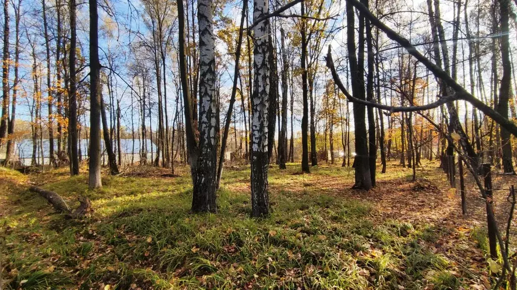 Участок в Тульская область, Киреевский район, Красноярское ... - Фото 0