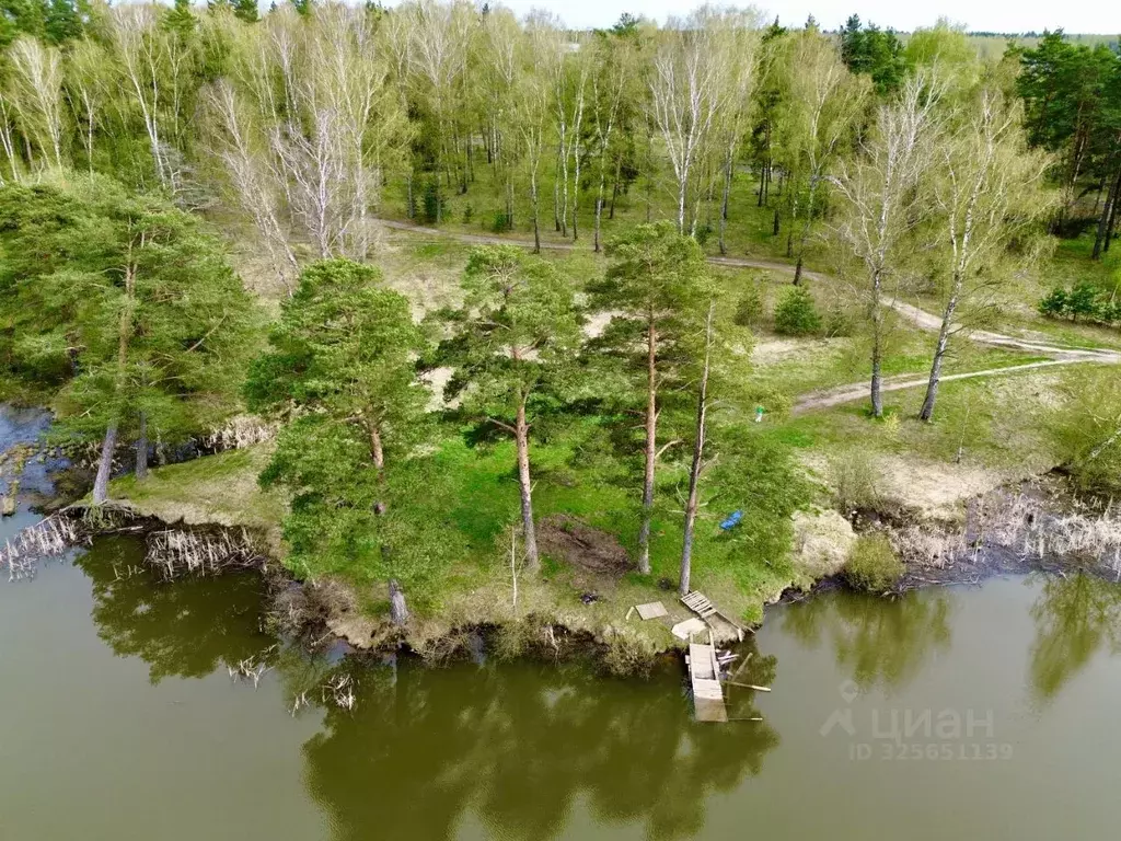 Участок в Московская область, Домодедово городской округ, д. Курганье ... - Фото 1