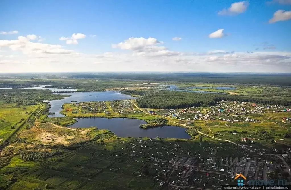 Криводановка новосибирская область. Село Криводановка Новосибирская область. Криводановка Новосибирск. Население села Криводановка Новосибирской области.