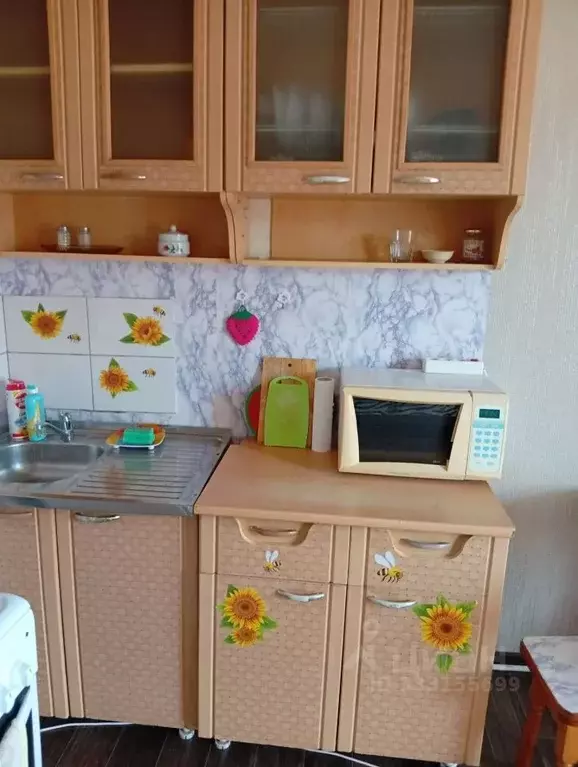 Студия Курганская область, Курган Черемухово мкр, ул. Каштановая, 8А ... - Фото 2