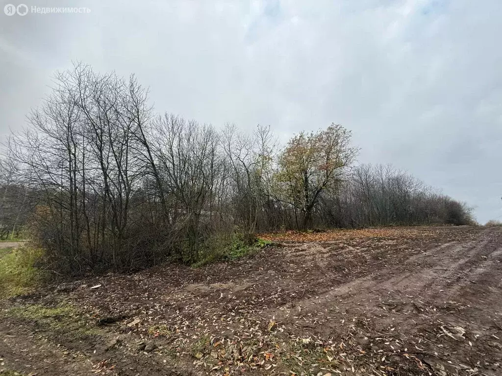 Участок в Кусаковка, Изосимлевская улица, 16 (7.46 м) - Фото 2