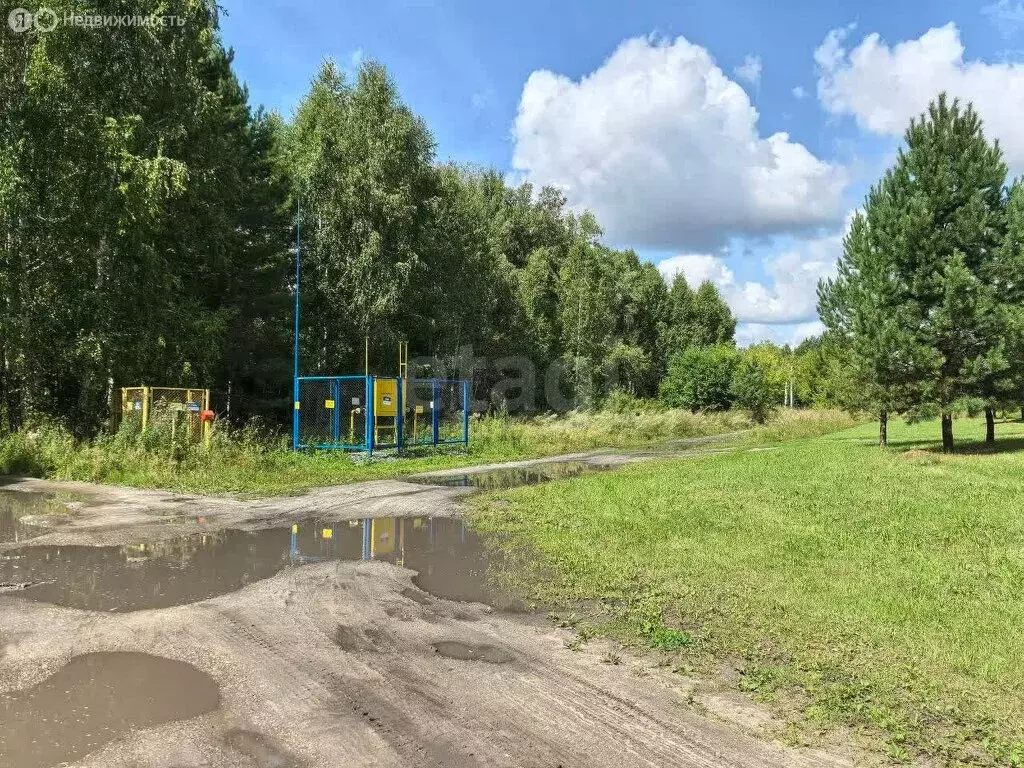 Участок в Ордынский район, деревня Новый Шарап (108.95 м) - Фото 1