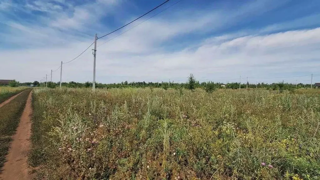 Участок в Оренбургская область, Бузулукский район, Новоалександровский ... - Фото 1