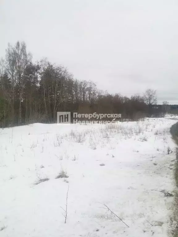 Участок в Ленинградская область, Всеволожский район, Лесколовское ... - Фото 0