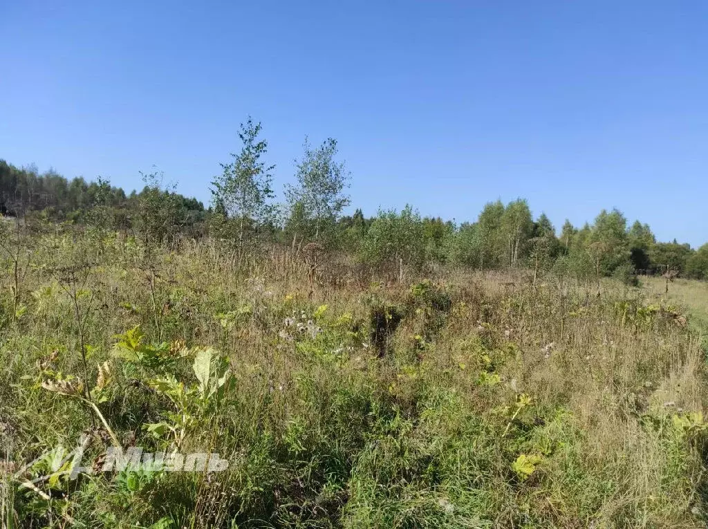 Продается участок в КИЗ Веселые Пруды - Фото 2