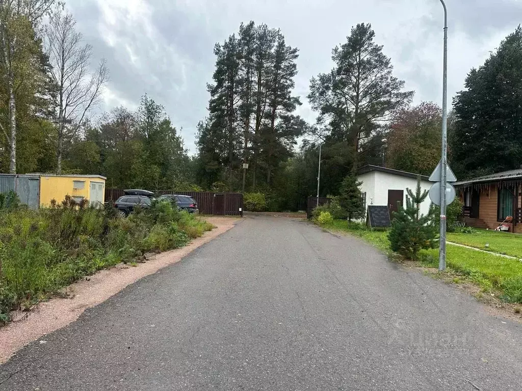 Участок в Московская область, Пушкинский городской округ, Правдинский ... - Фото 2