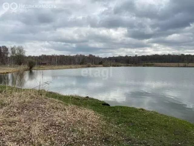 Участок в Тогучинский район, Репьевский сельсовет, село Репьёво (15 м) - Фото 1