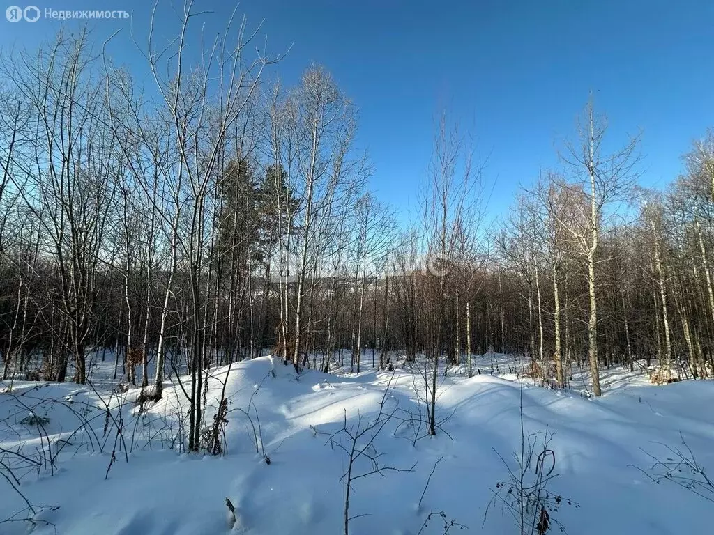 Участок в Иркутский муниципальный округ, деревня Новолисиха, посёлок ... - Фото 1