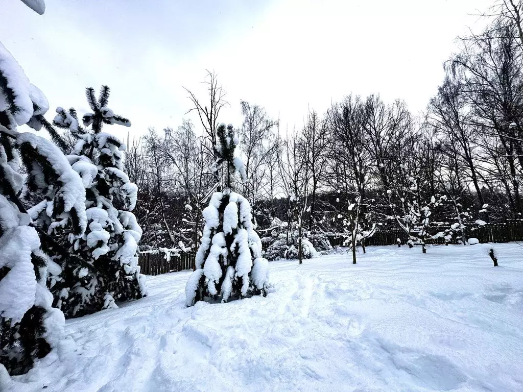Участок в Московская область, Истра муниципальный округ, д. Павловское ... - Фото 2