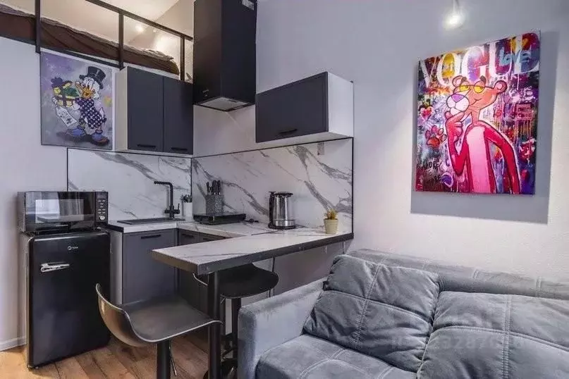 1-к кв. Санкт-Петербург Боровая ул., 11-13 (16.0 м) - Фото 2