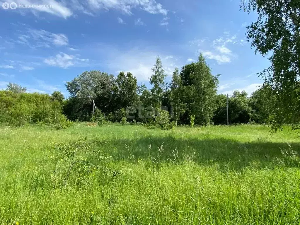 Участок в Московская область, городской округ Коломна, село Маливо (11 ... - Фото 0