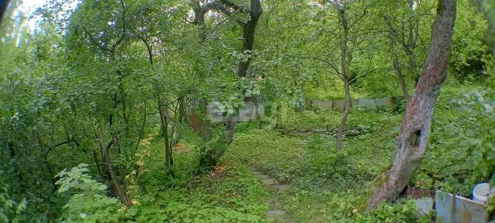 Участок в Нижегородская область, Нижний Новгород Маяк садовое ... - Фото 0