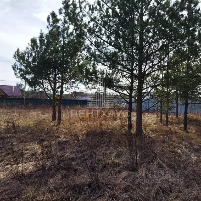 Участок в Владимирская область, Суздальский район, Боголюбовское ... - Фото 1