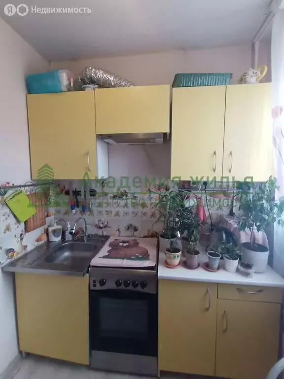 1-комнатная квартира: Саратов, Деловая улица, 20А (21 м) - Фото 0