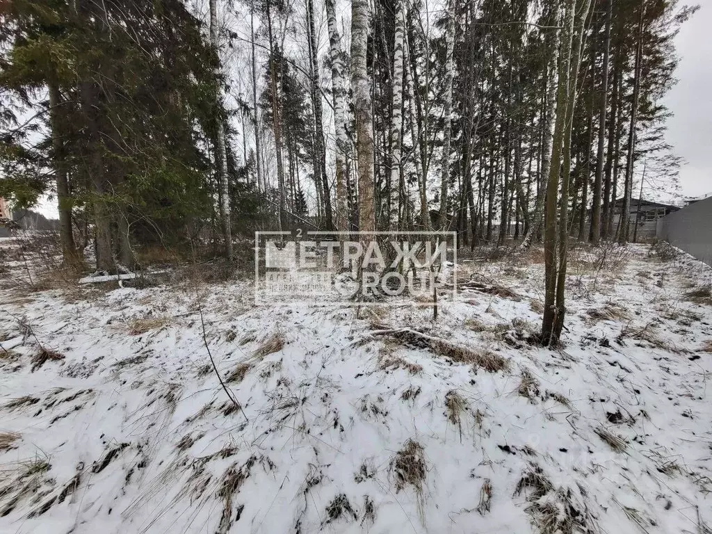 Участок в Московская область, Балашиха СНТ Заря тер.,  (10.0 сот.) - Фото 2