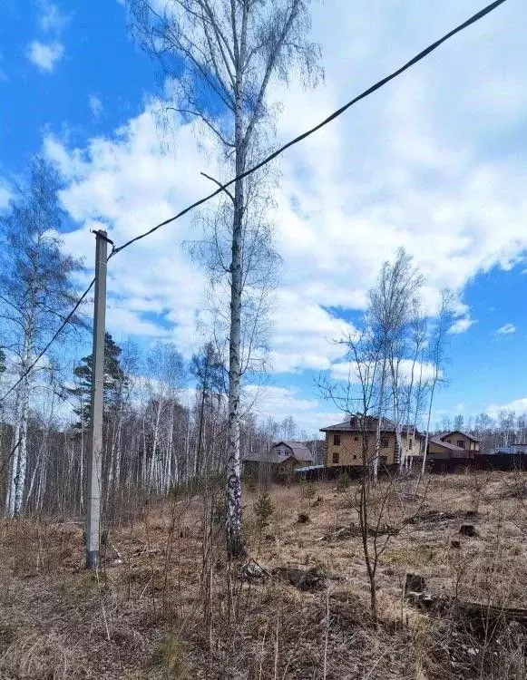 Участок в Иркутская область, Иркутский муниципальный округ, Зеленый ... - Фото 1