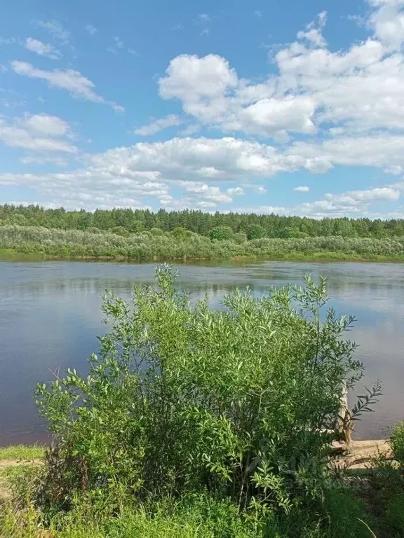 Участок в Нижегородская область, Нижний Новгород 1-й Кемеровский пер. ... - Фото 0