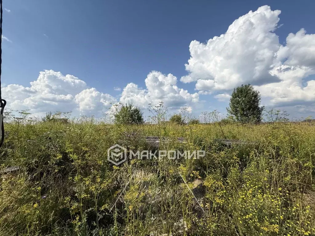 Участок в Ленинградская область, Ломоносовский район, Гостилицкое ... - Фото 1