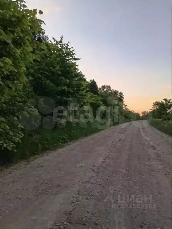 Участок в Башкортостан, Иглинский район, Чуваш-Кубовский сельсовет, ... - Фото 2