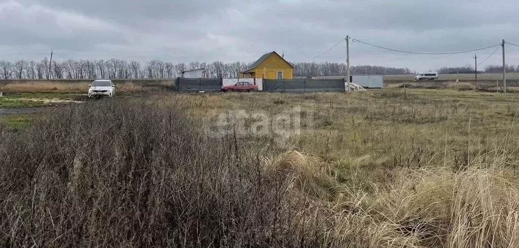 Участок в Ростовская область, Аксайский район, Мишкинская ст-ца  (16.0 ... - Фото 1