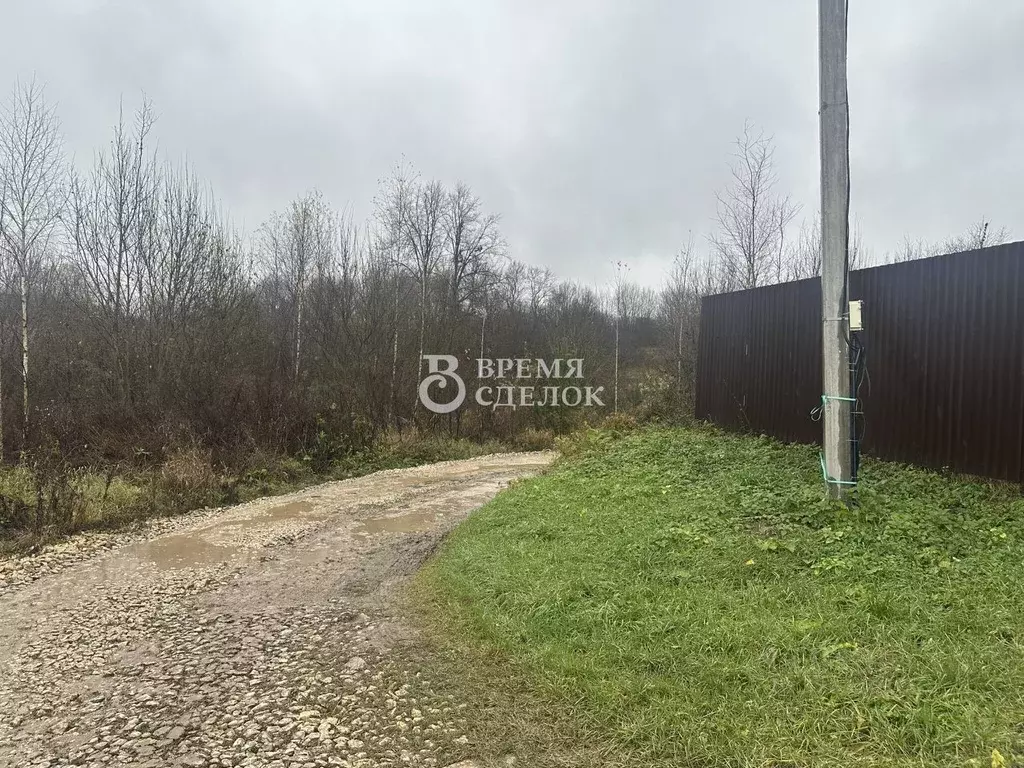 Участок в Владимирская область, Суздальский район, Новоалександровское ... - Фото 1