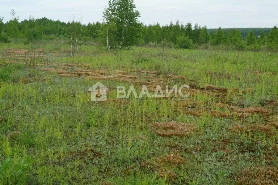 Участок в Нижегородская область, Богородский муниципальный округ, д. ... - Фото 1