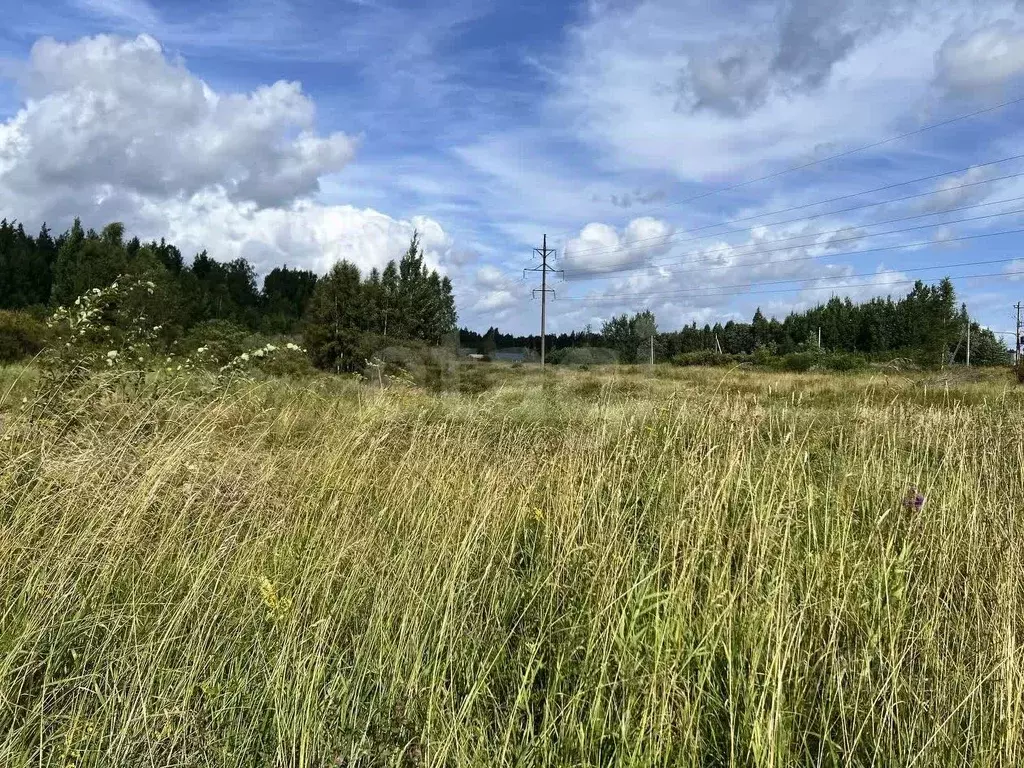 Участок в Ленинградская область, Ломоносовский район, Низинское с/пос, ... - Фото 1