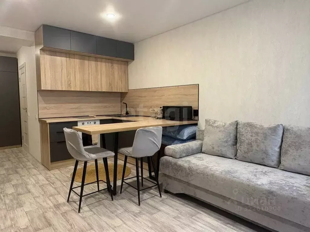 Студия Вологодская область, Череповец Рыбинская ул., 33Б (28.46 м) - Фото 2