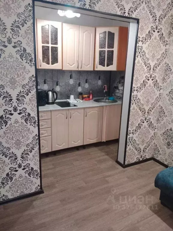 1-к кв. Новосибирская область, Новосибирск ул. Виктора Шевелева, 28 ... - Фото 1