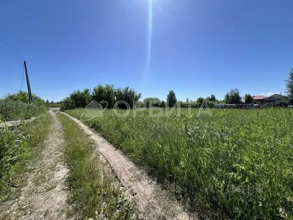 Участок в Тюменская область, Тюмень Медик СНТ, 33 (20.0 сот.) - Фото 0