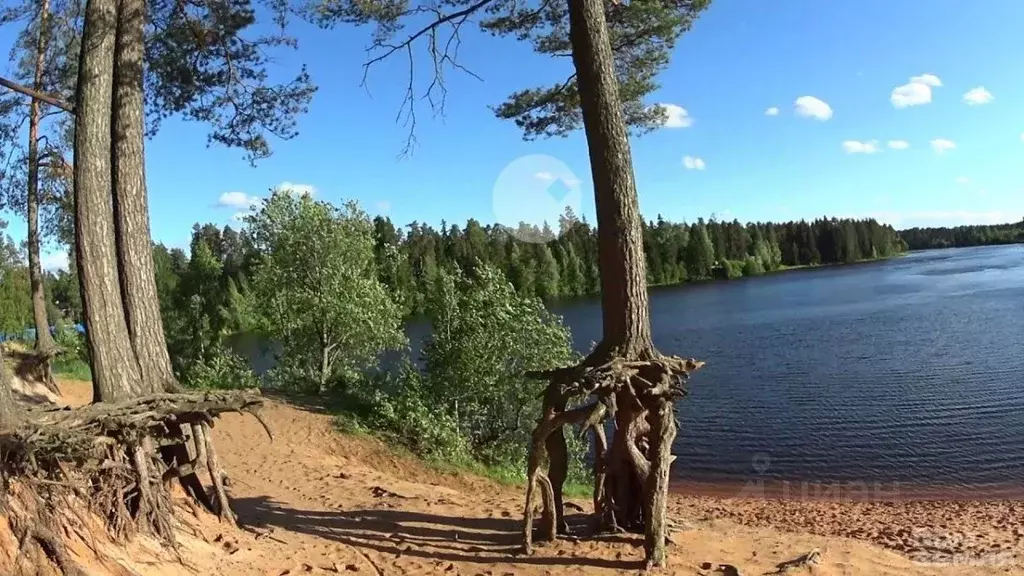 Дом в Ленинградская область, Гатчинский район, Ухта садоводческий ... - Фото 1