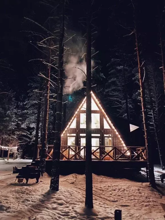 Дом в Ленинградская область, Приозерский район, Ромашкинское с/пос, ... - Фото 1