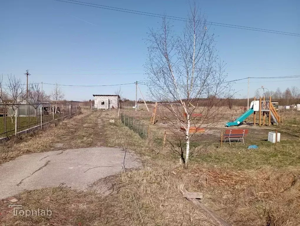 Участок в Калининградская область, Гурьевский муниципальный округ, ... - Фото 1