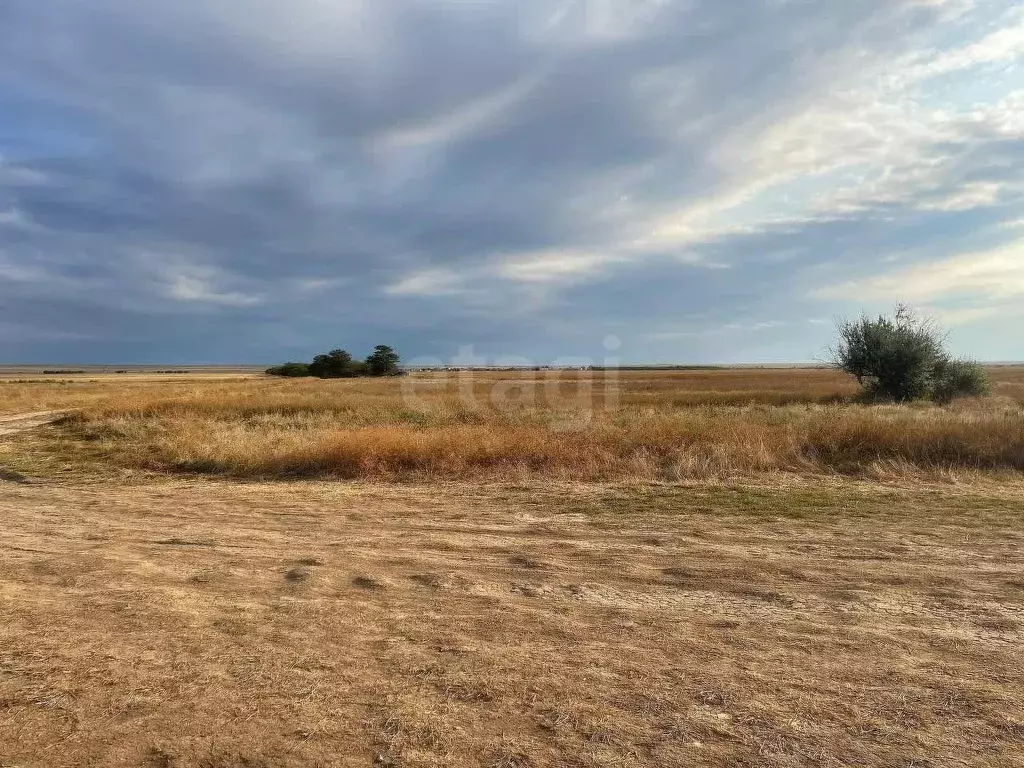 Участок в Крым, Черноморский район, с. Окуневка  (348.04 сот.) - Фото 1