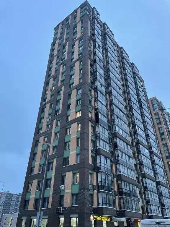 1-к кв. Московская область, Балашиха Железнодорожный мкр, просп. ... - Фото 1