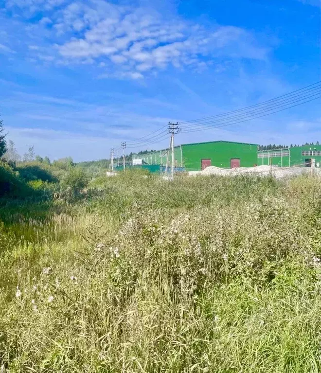 Участок в Московская область, Клин городской округ, д. Новощапово  ... - Фото 1