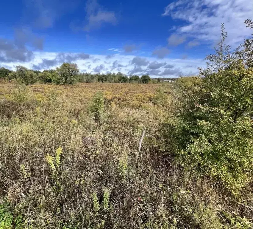 Участок в Брянская область, Клетнянский район, с. Лутна  (60.0 сот.) - Фото 2