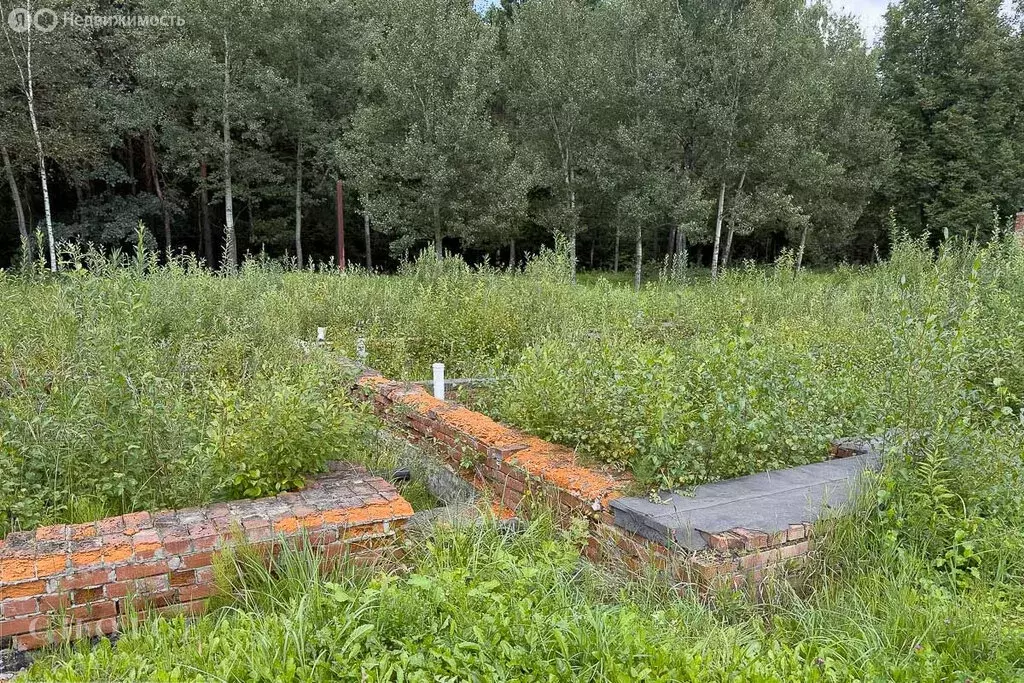 Участок в Московская область, городской округ Краснознаменск (32.88 м) - Фото 1