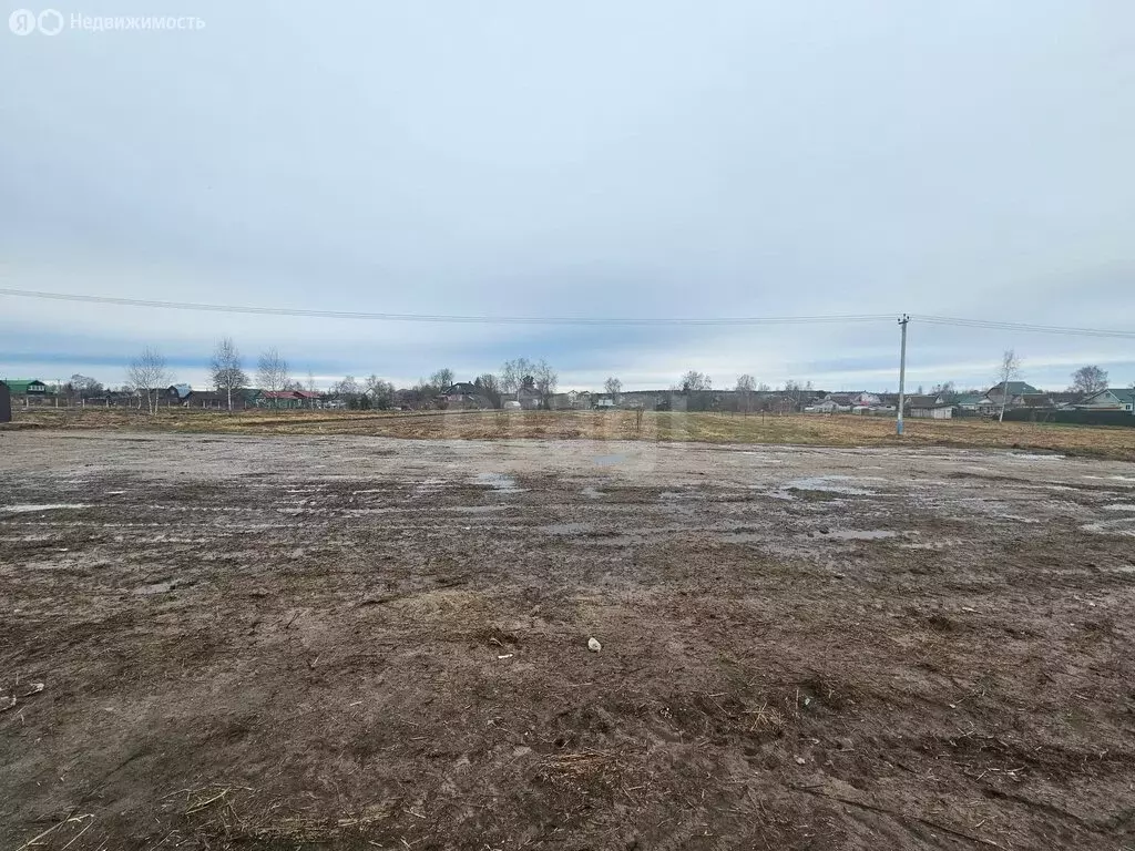 Участок в деревня Щельпино, Центральная улица (8 м) - Фото 2