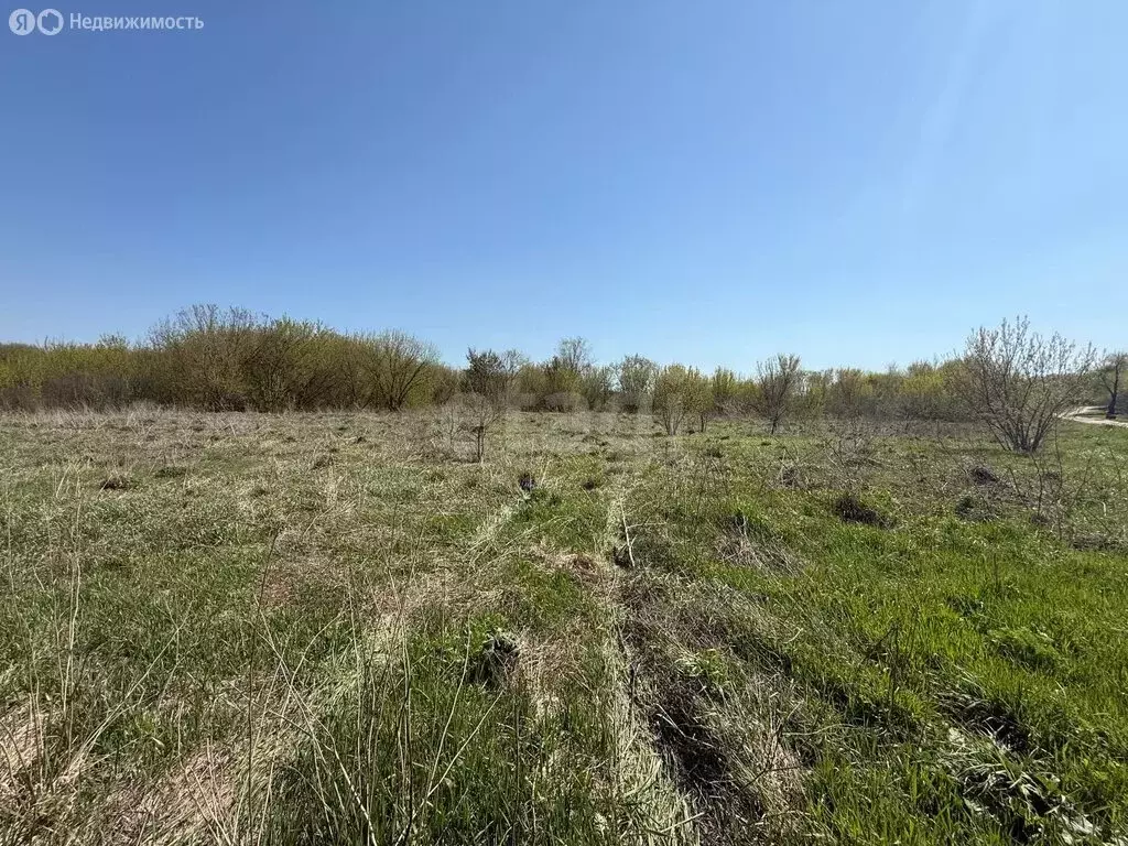 Участок в село Семилуки, Донская улица (35 м) - Фото 2